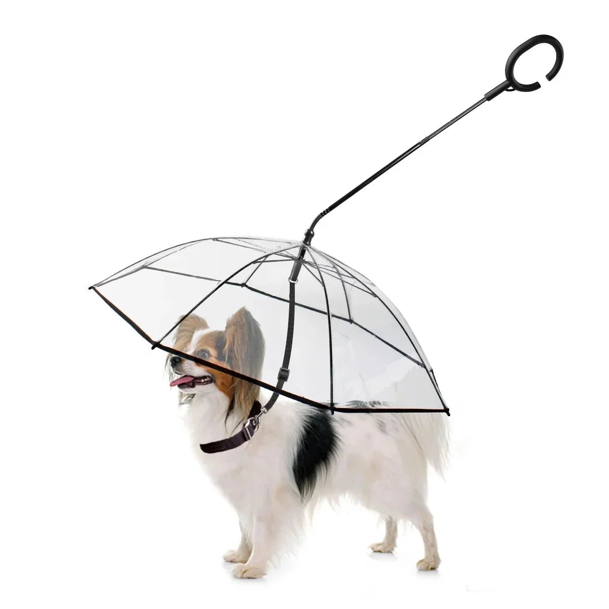 [product-name]-[key-feature]-[animal-type]-[color-or-size].jpg