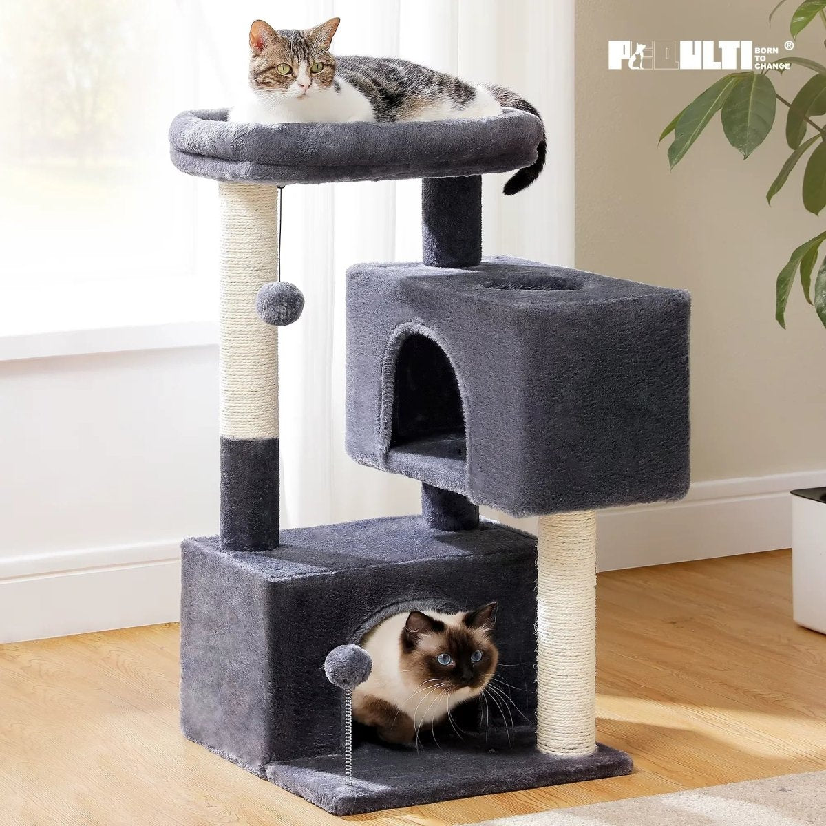 [product-name]-[key-feature]-[animal-type]-[color-or-size].jpg