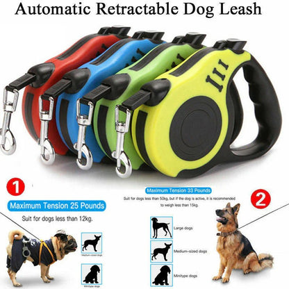 [product-name]-[key-feature]-[animal-type]-[color-or-size].jpg