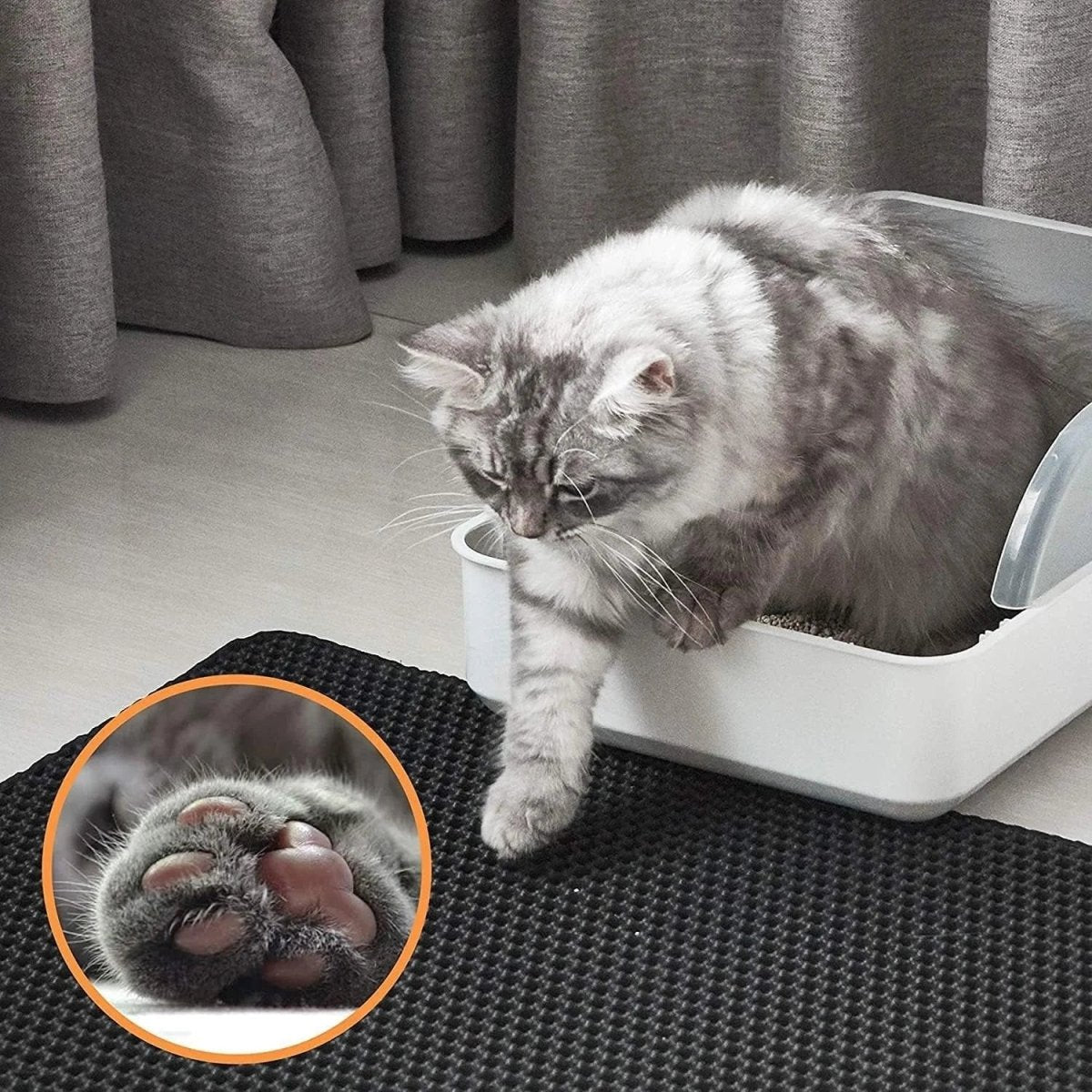 [product-name]-[key-feature]-[animal-type]-[color-or-size].jpg
