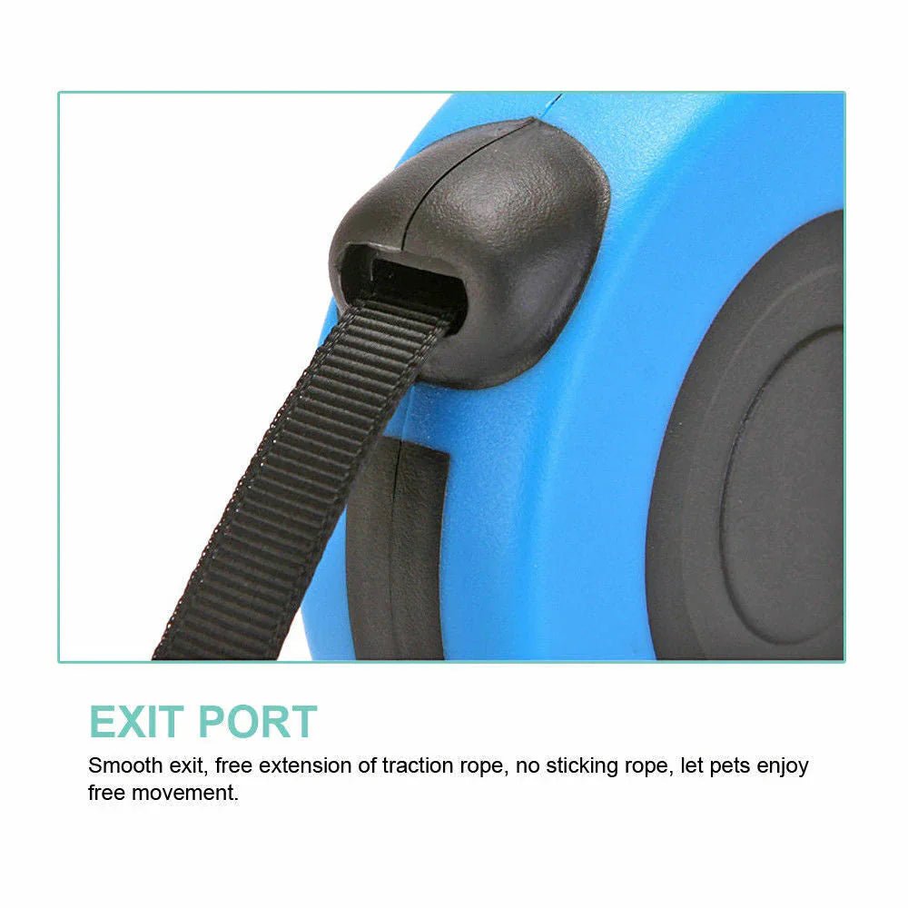[product-name]-[key-feature]-[animal-type]-[color-or-size].jpg
